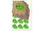 Peeking Iguana Temporary Tattoo Water Resistant Fake Body Art Set Collection (1 Sheet)